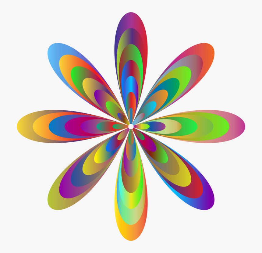 Symmetry,petal,circle - Circle, HD Png Download