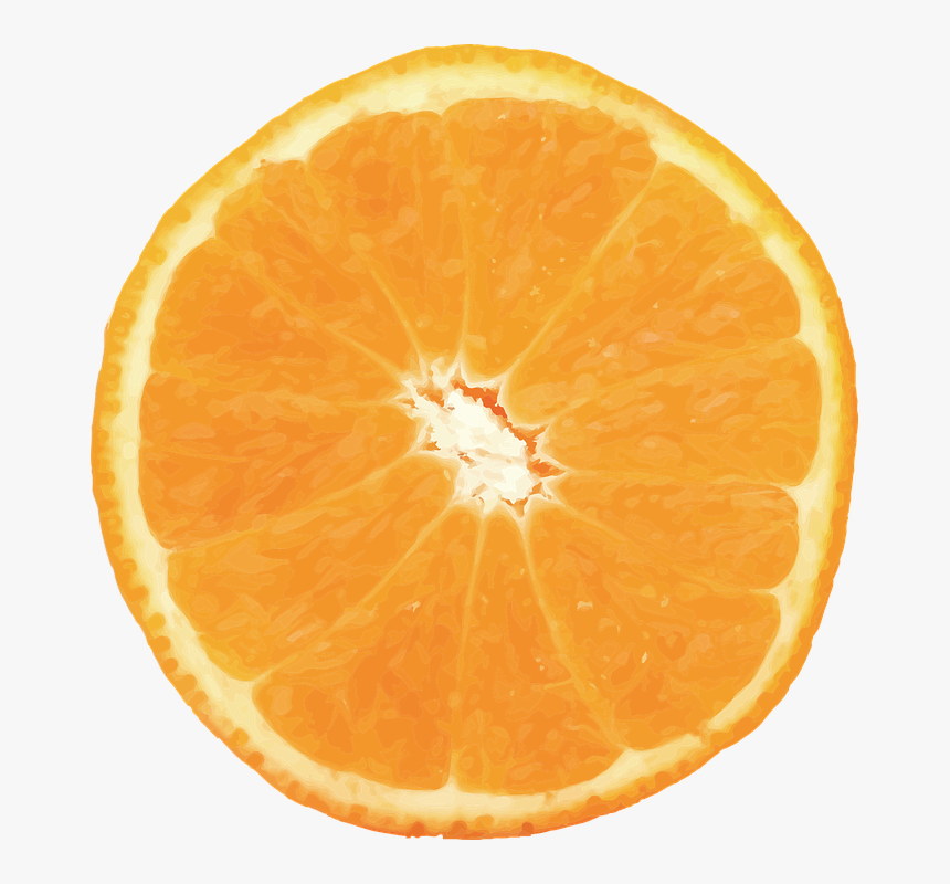 Naranja, Vector, Fruta, Cítricos, Fruto, Alimentos - Orange Half Png, Transparent Png