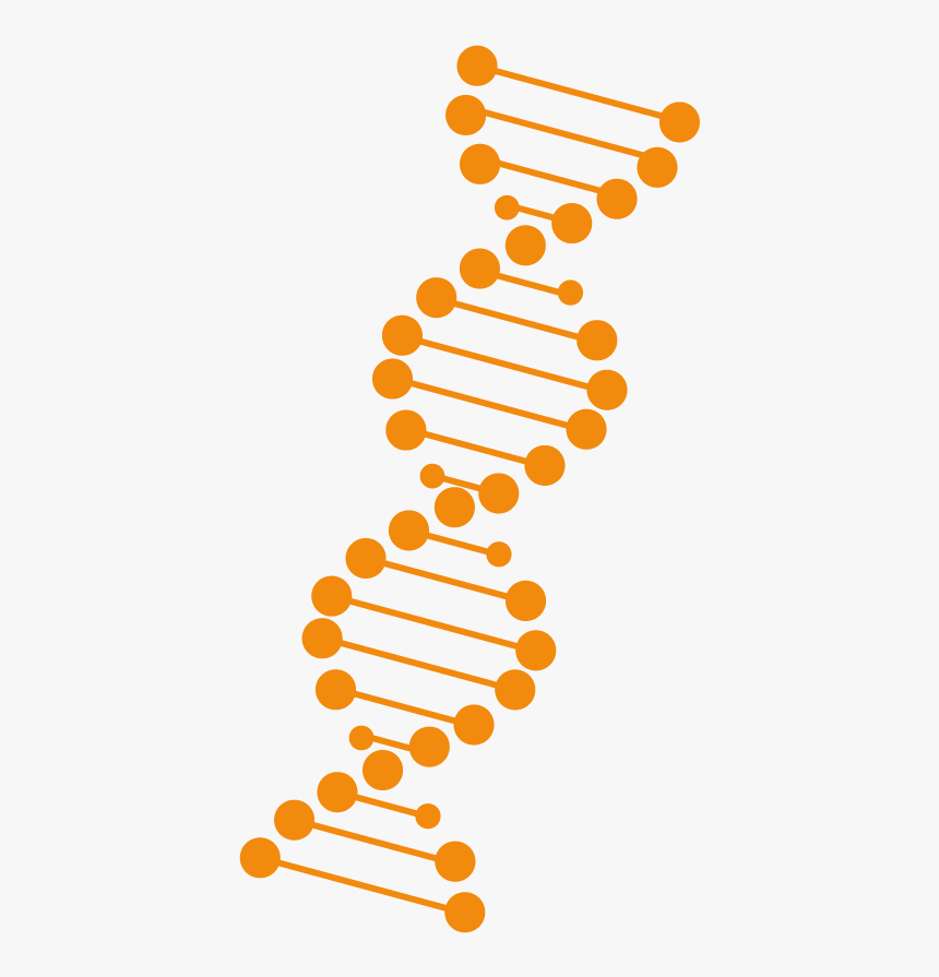 Adn-naranja , Png Download - Circle, Transparent Png