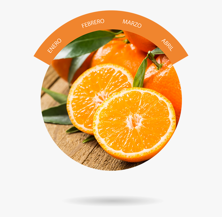 Rangpur,mandarin Orange,valencia Orange,citric Foods,vegetarian - Alimentos Que Ajudam Na Respiracao, HD Png Download