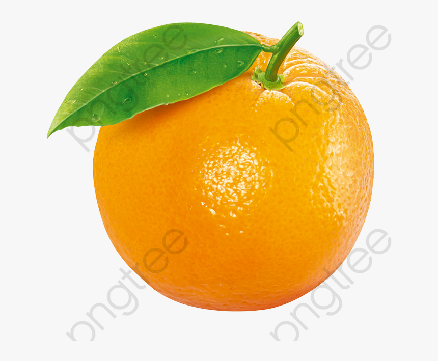 Naranja Clipart - Orange Fruit Transparent Background, HD Png Download
