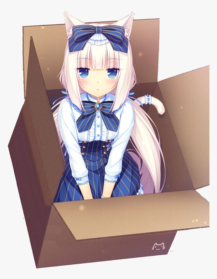 Chocola And Vanilla In Box, HD Png Download