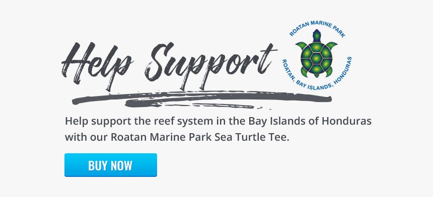 Help Support The Reef System In The Bay Islands Of - Calligraphy, HD Png Download