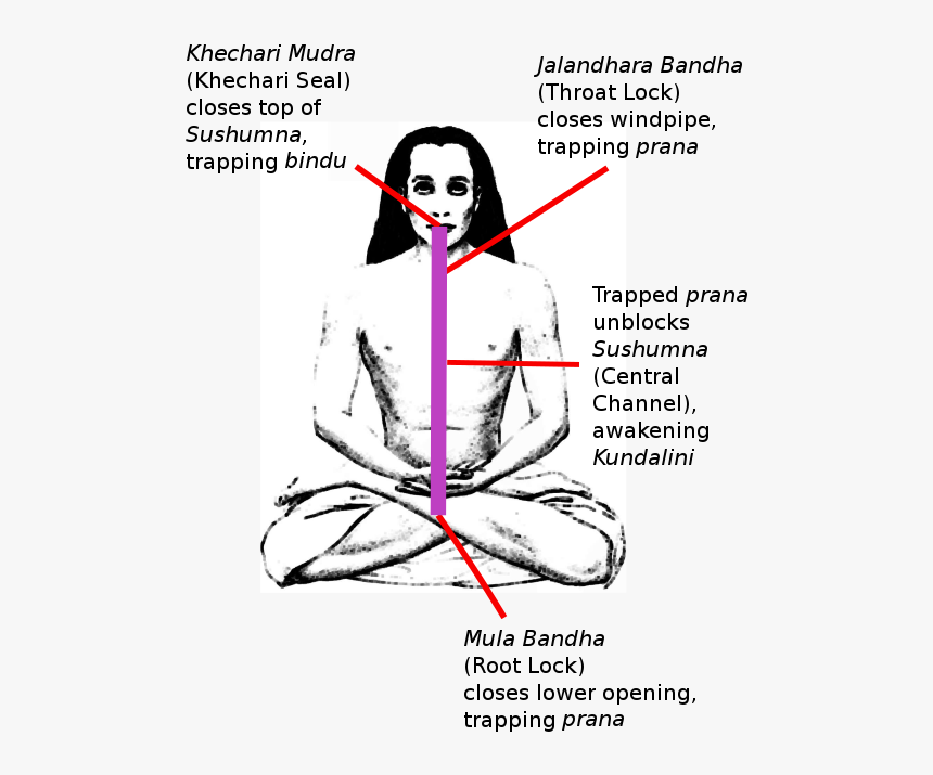 Khecarī Mudrā, HD Png Download