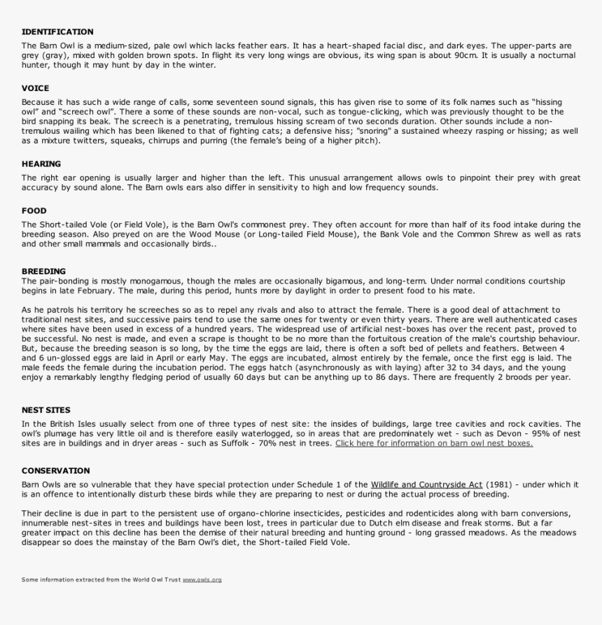 Information On The Barn Owl - Cartas Mudança De Instalações, HD Png Download