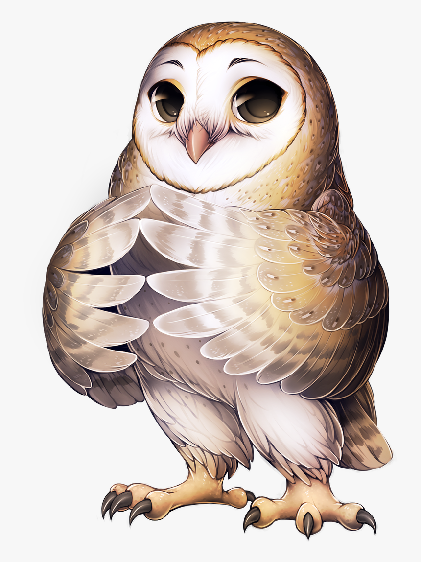 Owl Furry, HD Png Download