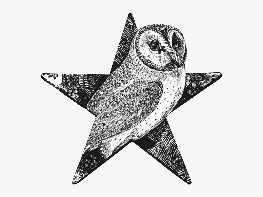 Barn Owl Barnstar - Thomas Bewick Animals, HD Png Download