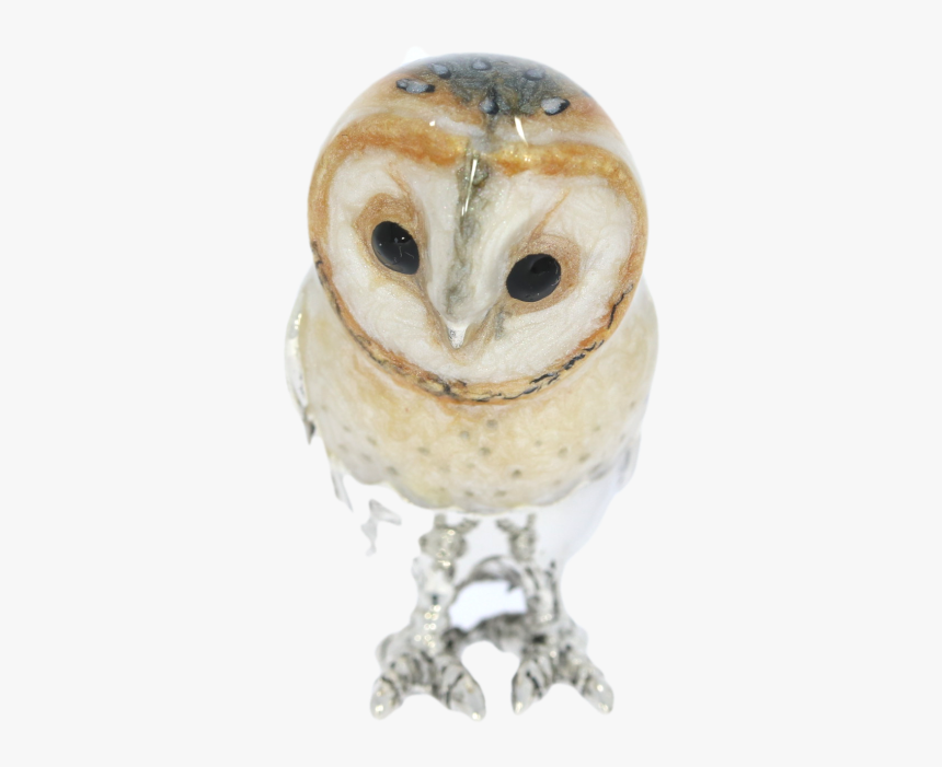 Screech Owl, HD Png Download