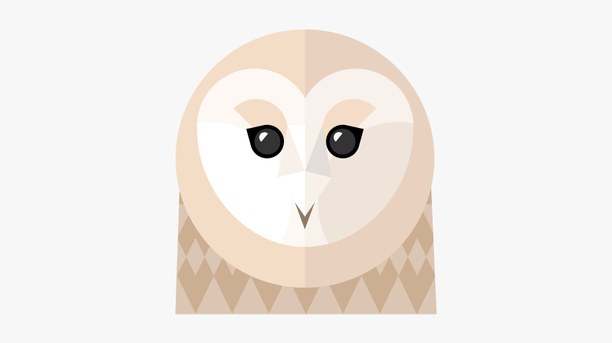 Barn Owl, HD Png Download