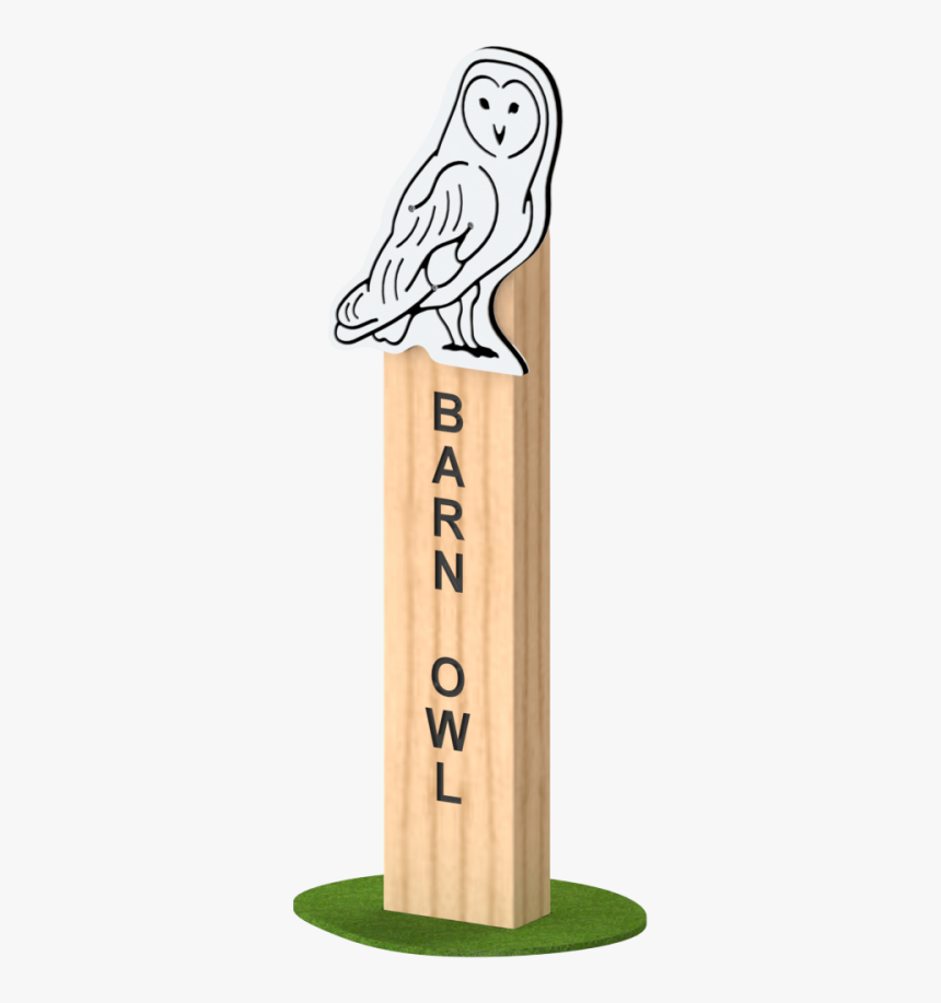 Snowy Owl, HD Png Download