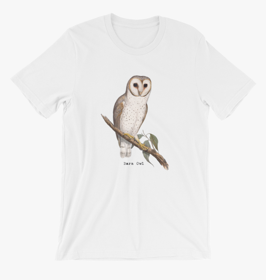 Barn Owl, HD Png Download