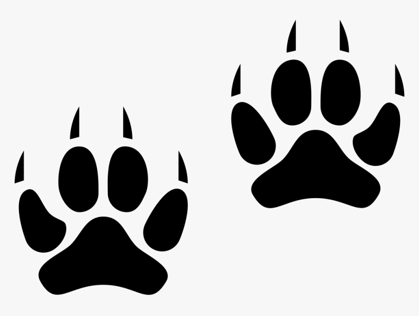 Two Animal Pawprints Huellas De Tigre Dibujo Hd Png Download Transparent Png Image Pngitem