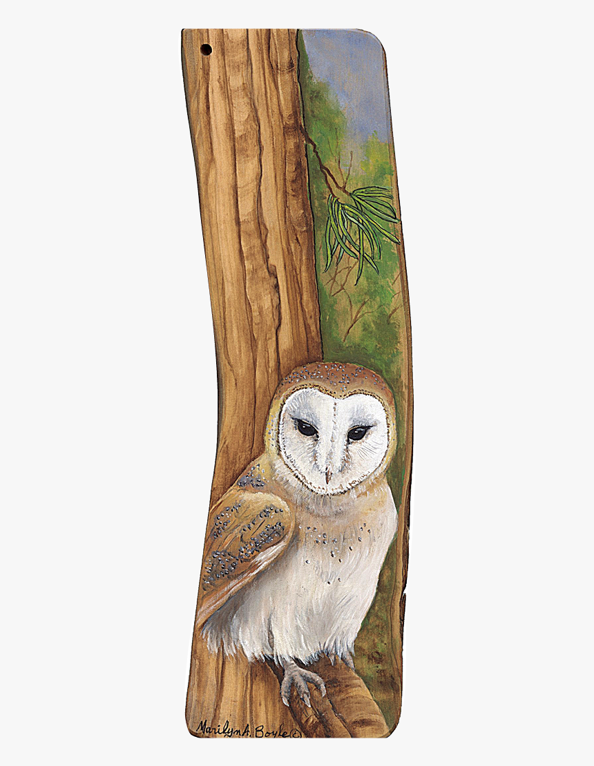 Barn Owl, HD Png Download
