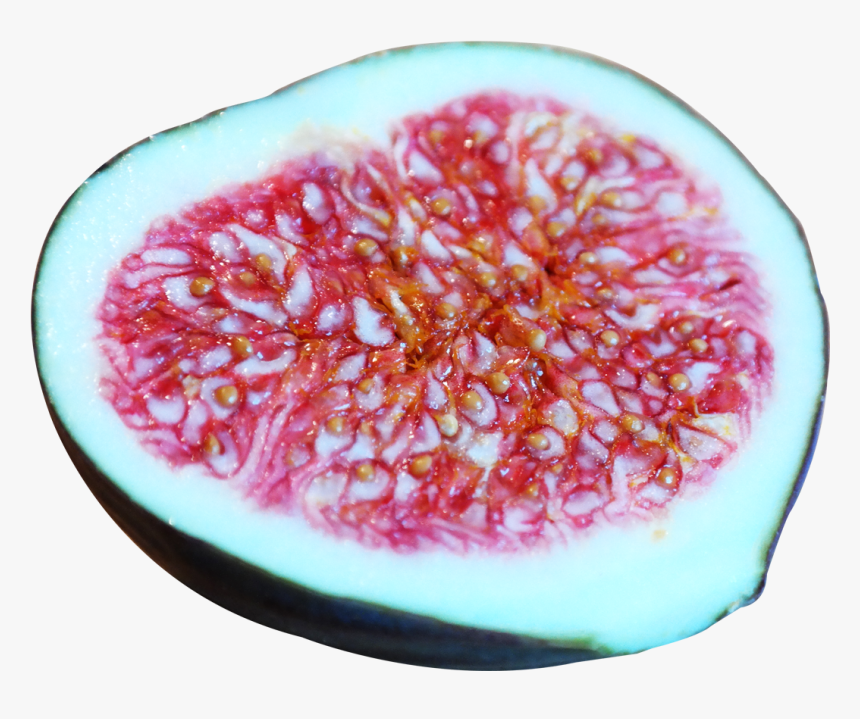 Common Fig, HD Png Download