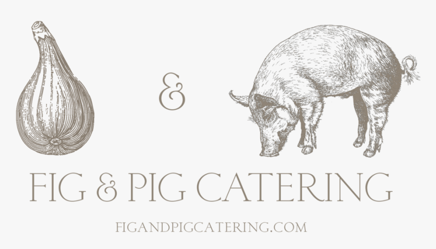 Newfig Pig Logo Artwork2, HD Png Download