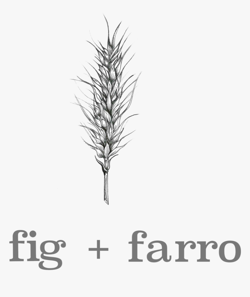 Logopng - Sketch, Transparent Png