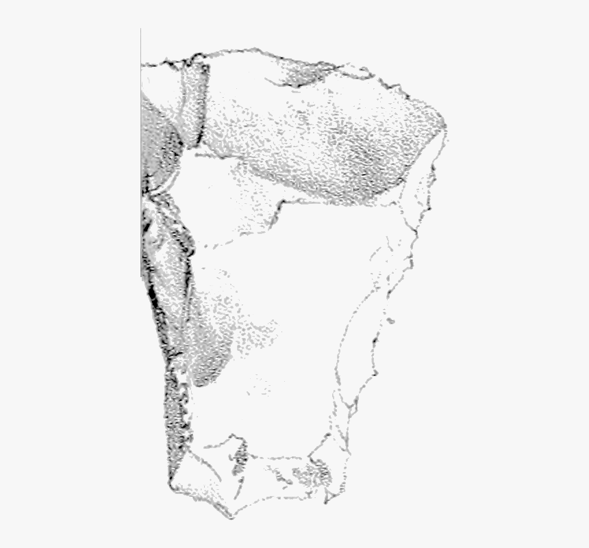 Drawing History Natural - Sketch, HD Png Download