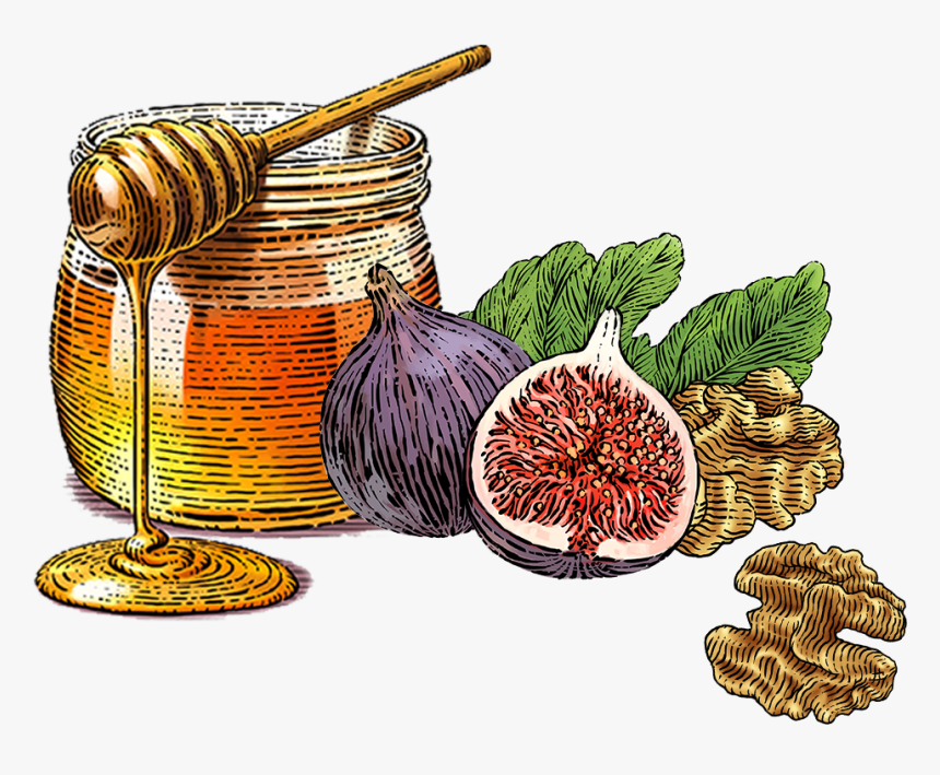 Nutrition Facts - Common Fig, HD Png Download