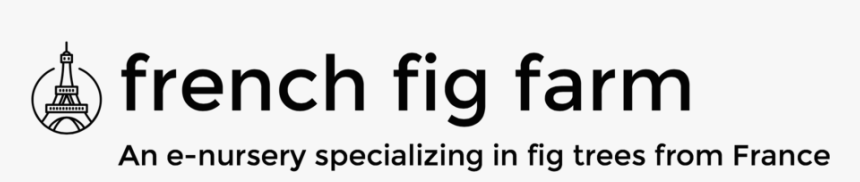 Fig Png, Transparent Png