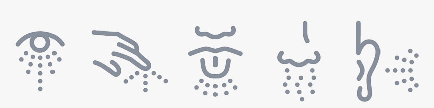 Learning A Language Through Cooking - Human Senses Png, Transparent Png