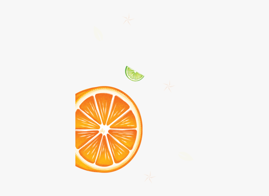 Orange, HD Png Download