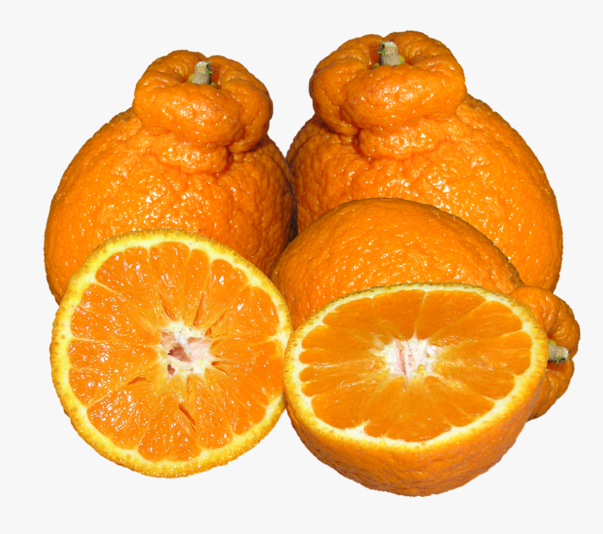 Mandarins, Citrus, Fruit - Rangpur, HD Png Download