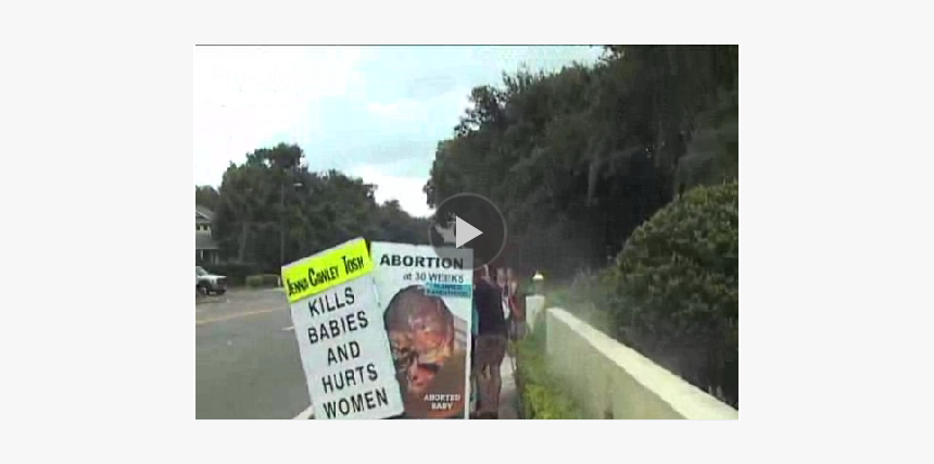 Photo By - Forerunner - Com - Winter Park Wants To - Tree, HD Png Download