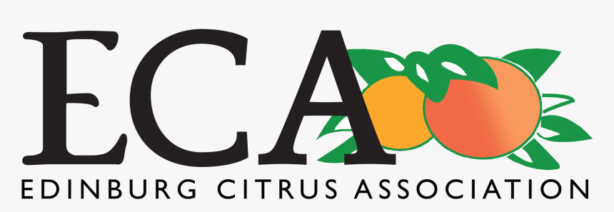 Egis Capital Partners Logo, HD Png Download