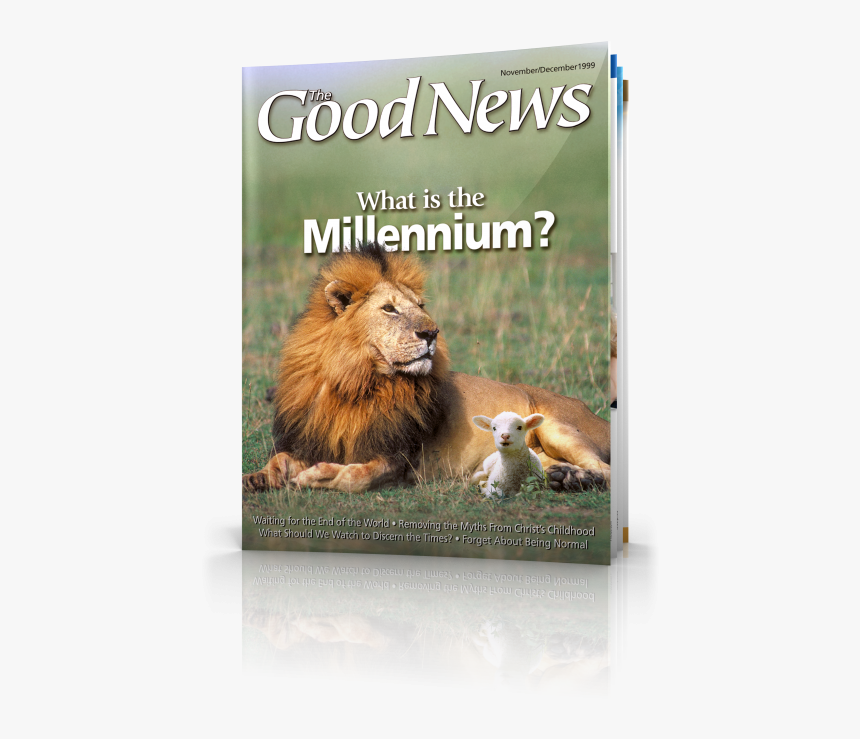 The Good News November-december - Masai Lion, HD Png Download