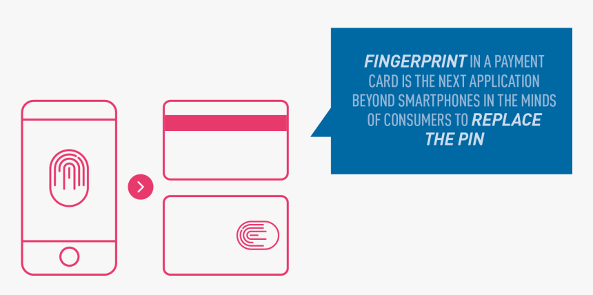 Colorfulness, HD Png Download