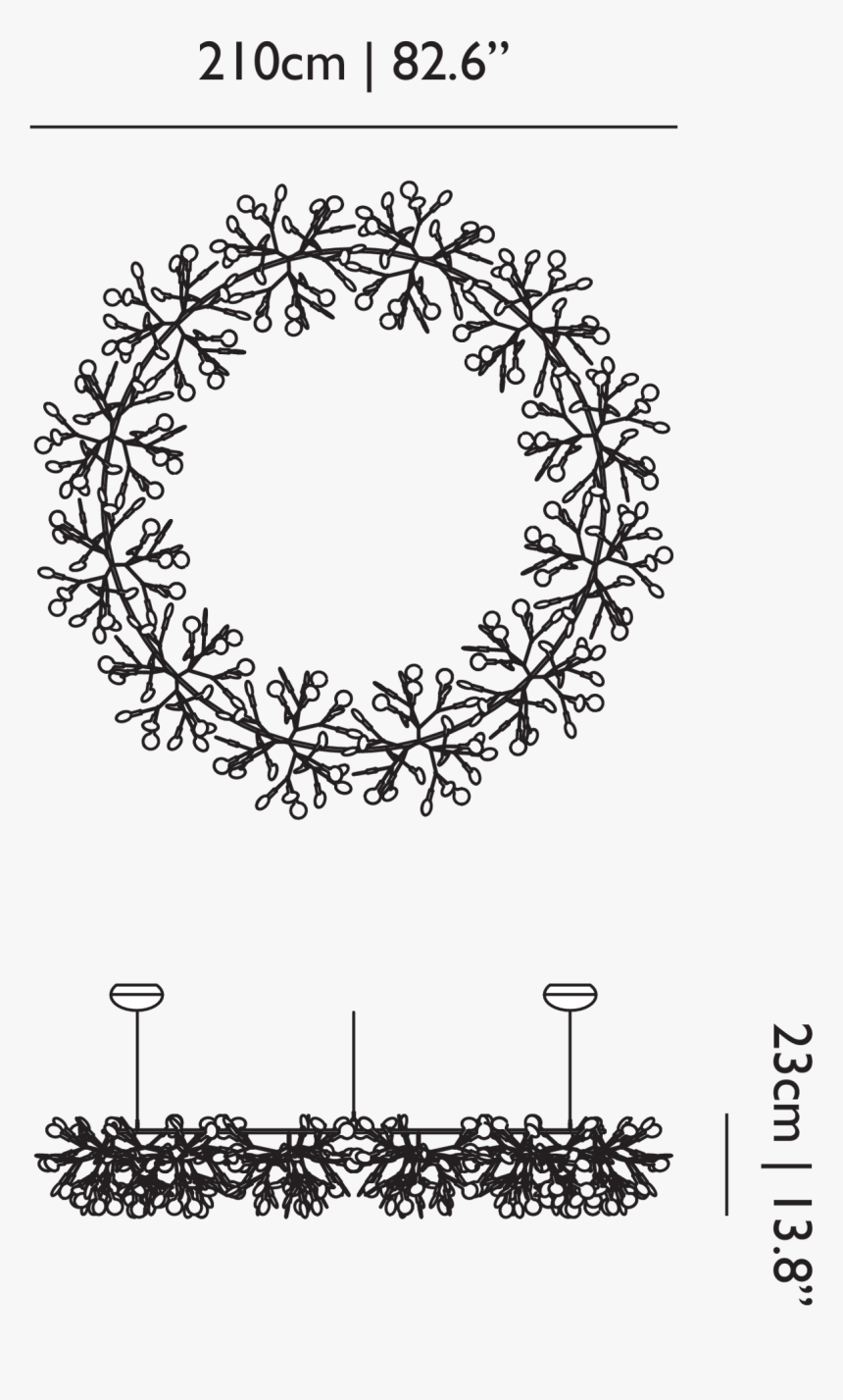 Heracleum Big O Moooi Dimension, HD Png Download