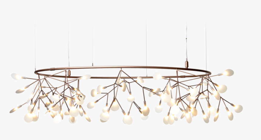 Moooi Heracleum Small Big O, HD Png Download