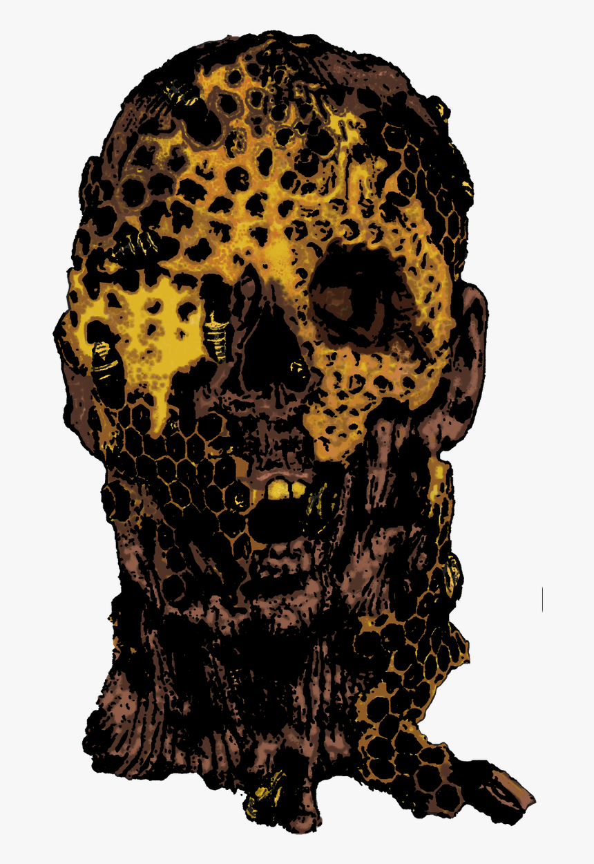 Skull, HD Png Download