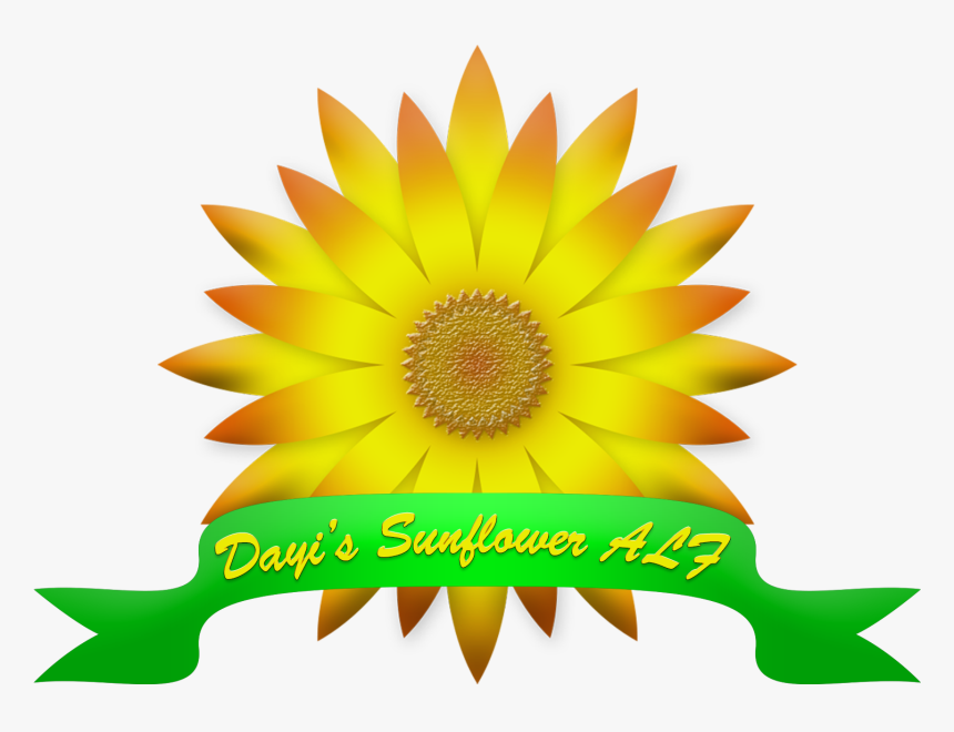 Satisfaccion Garantizada O Te Devolvemos Tu Dinero, HD Png Download