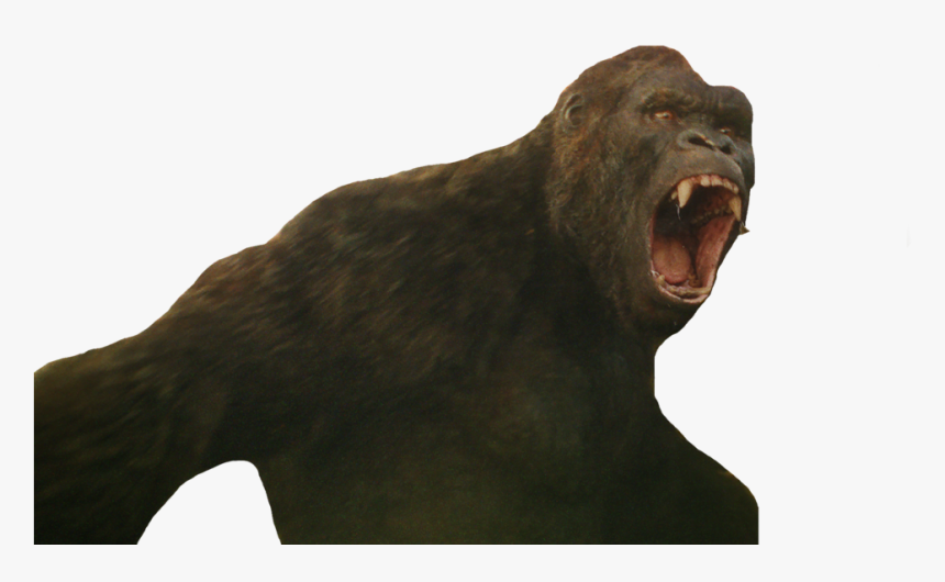 Shout - King Kong 2017 Png, Transparent Png