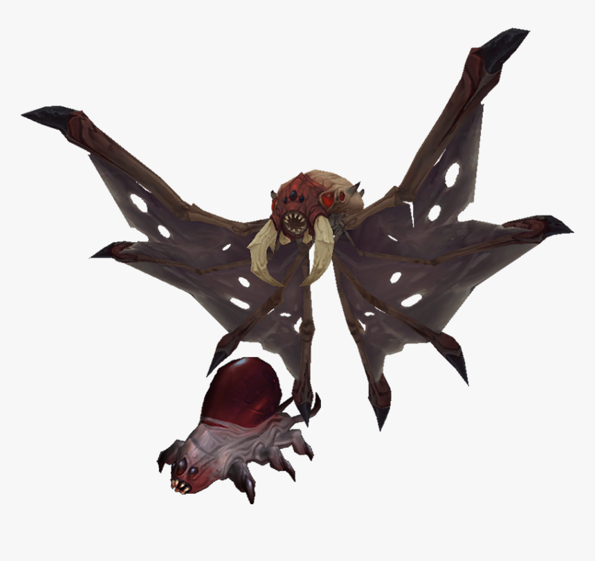 Bloodtick - Illustration, HD Png Download