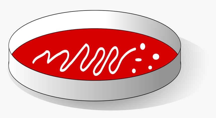 Blood Agar Plate With Colonies Clip Arts - Agar Plate Clipart, HD Png Download