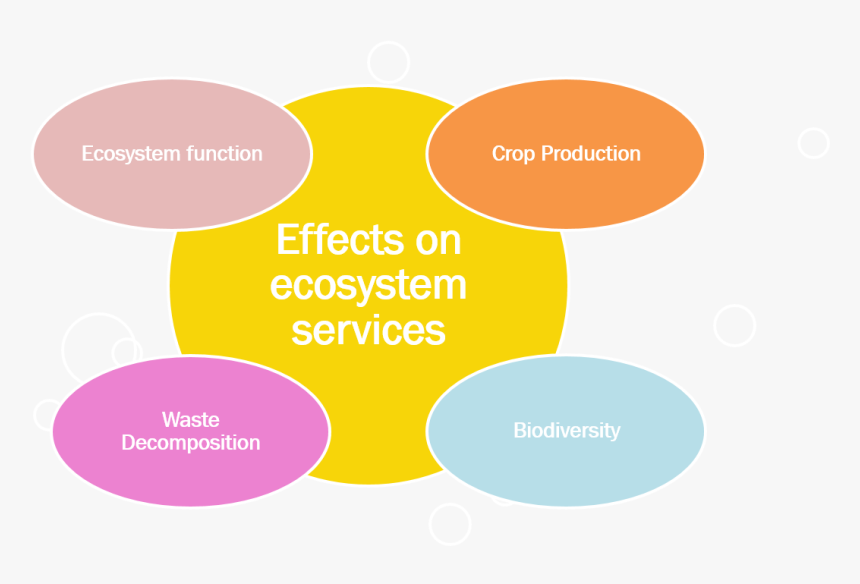 Wp4 - Effects Of Ecosystem Services, HD Png Download