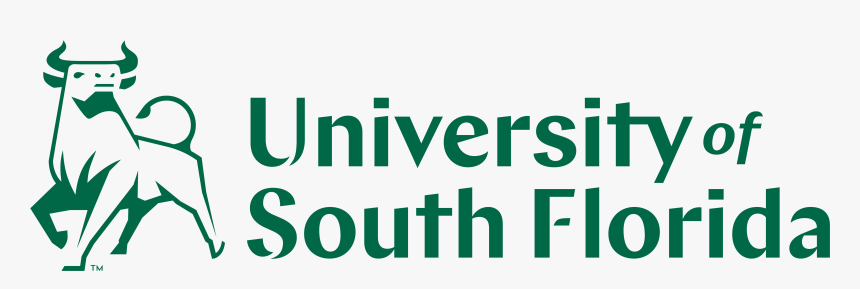 Black On Light - University, HD Png Download