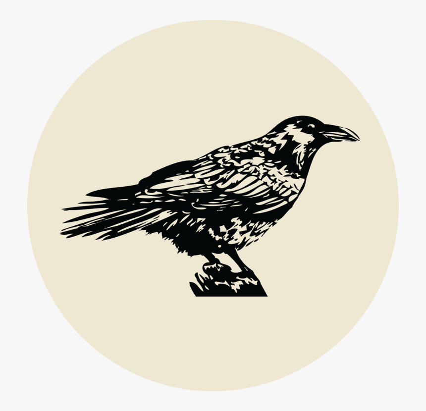 Transparent Crossed Drumsticks Clipart - Illustration, HD Png Download