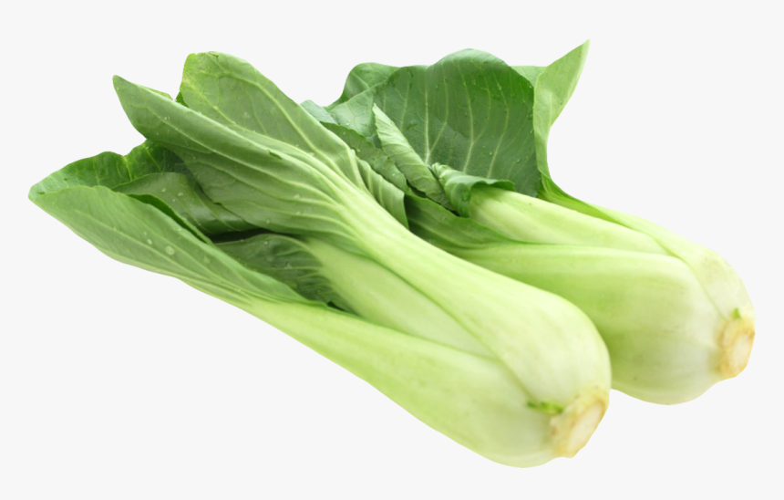 Bok Choy Clipart Yellow Vegetable - Bok Choy Png, Transparent Png