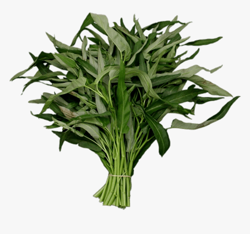 Kangkong - Kangkong Cartoon, HD Png Download