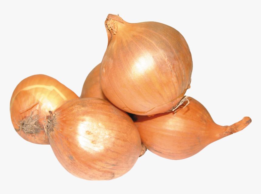Onion Png Image2 - Portable Network Graphics, Transparent Png