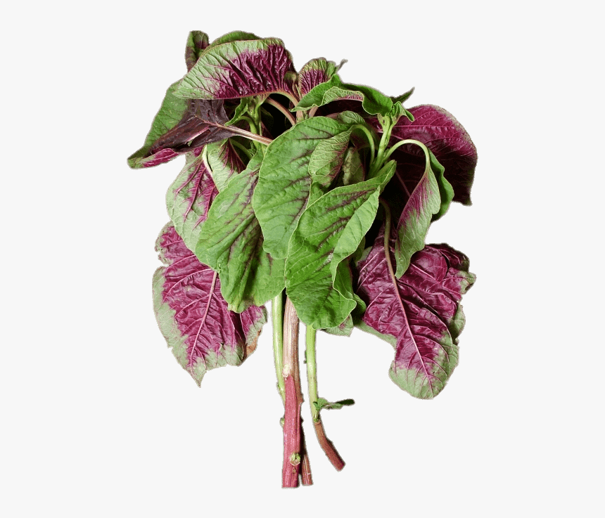 En Choy - Chinese Purple Spinach, HD Png Download