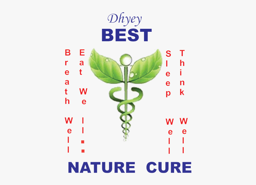 Buy Amaltas / Garmalo / Cassia Fistula / Cassia Fistula-seeds - Alternative Medicine Symbol, HD Png Download