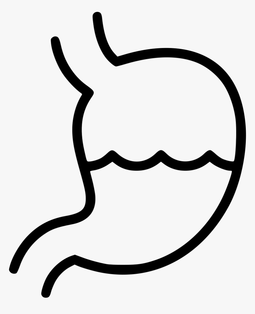 Line Art - Stomach, HD Png Download
