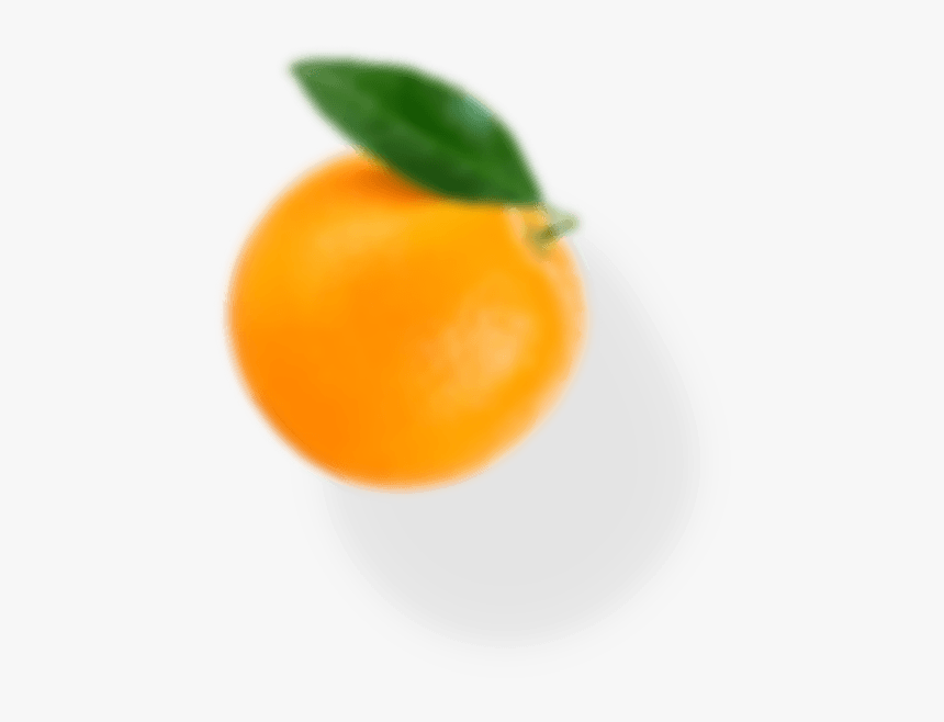 Bitter Orange, HD Png Download