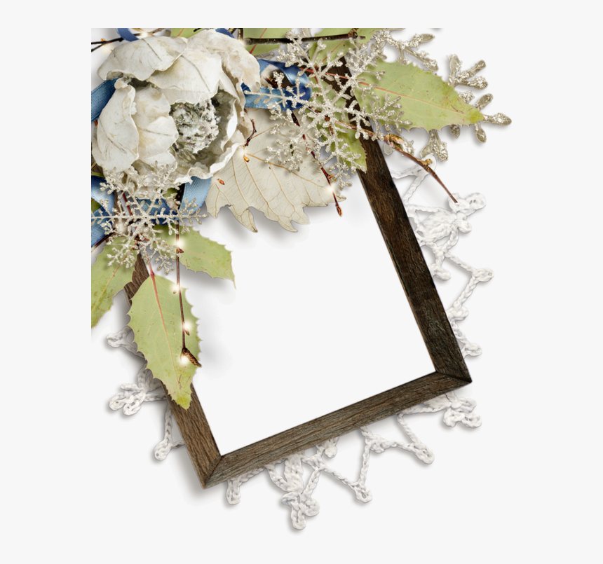 Transparent Winter Frame Png - Garden Roses, Png Download