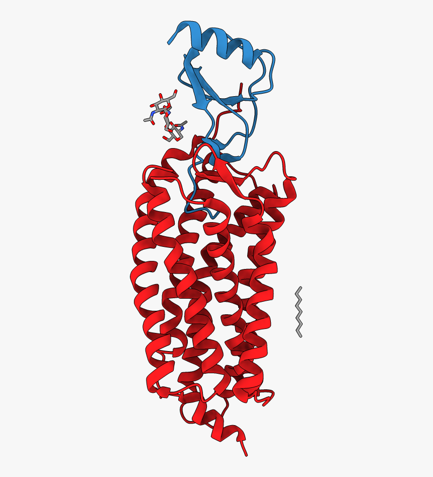 Illustration, HD Png Download