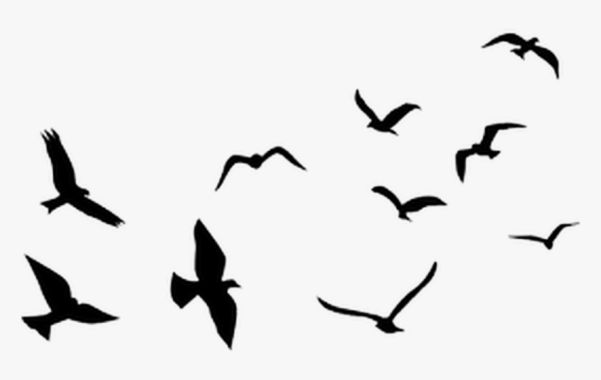 Airplane Flight Balloon Clip Art - Flying Bird Silhouette Png, Transparent Png